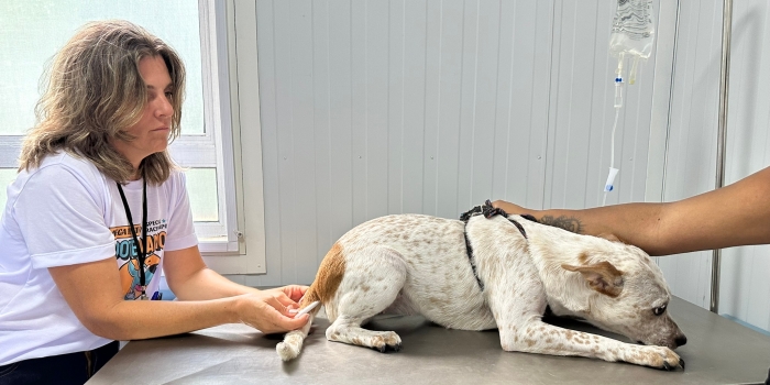 Foto de capa da notícia