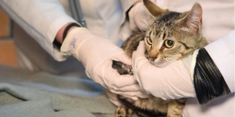 Imagem de capa da notícia