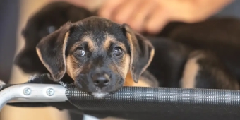 Imagem de capa da notícia