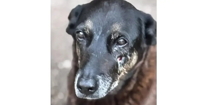 Foto de capa da notícia