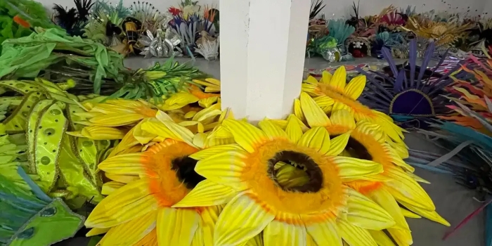 Foto de capa da notícia