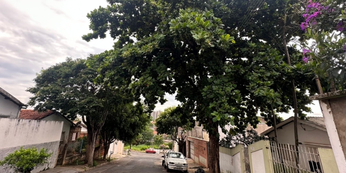 Foto de capa da notícia