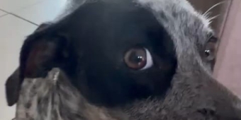 Imagem de capa da notícia