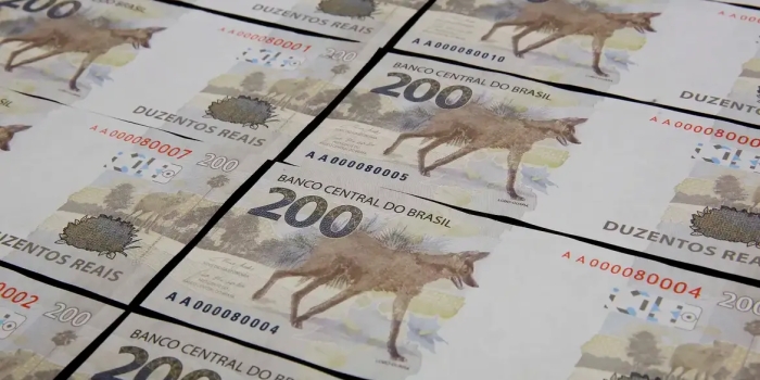 Foto de capa da notícia