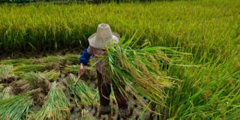 Imagem de capa da notícia