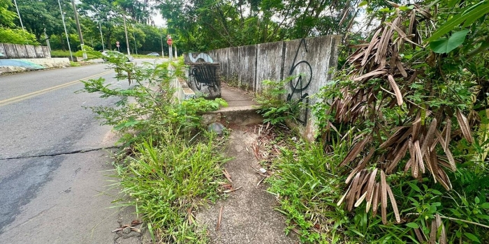 Foto de capa da notícia