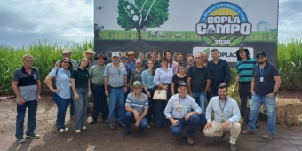 Imagem de capa da notícia