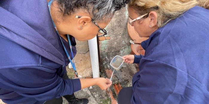 Foto de capa da notícia