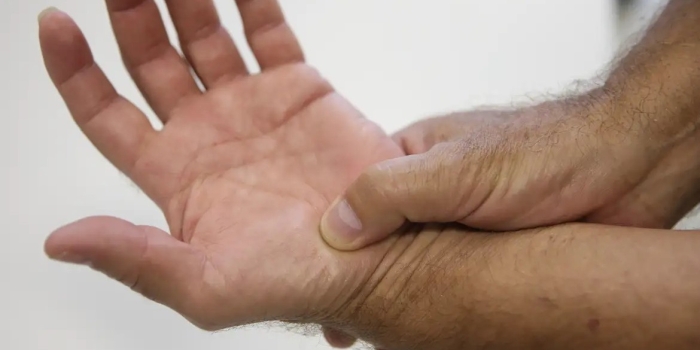 Foto de capa da notícia