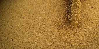 Imagem de capa da notícia