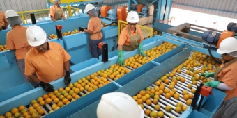 Imagem de capa da notícia