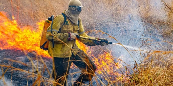 Foto de capa da notícia