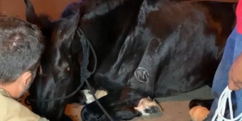 Imagem de capa da notícia