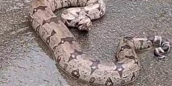 Imagem de capa da notícia