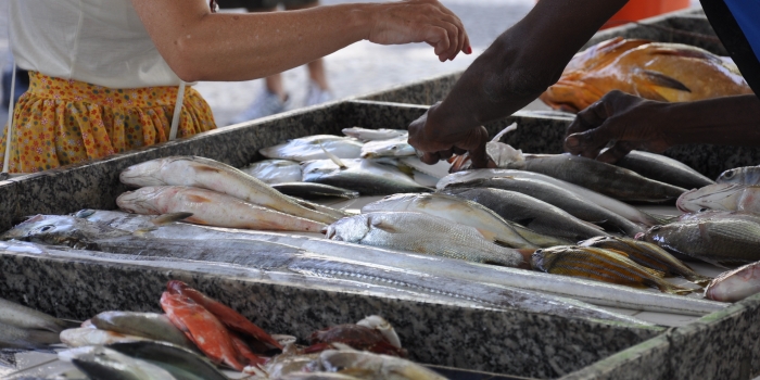 Foto de capa da notícia