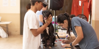 Imagem de capa da notícia