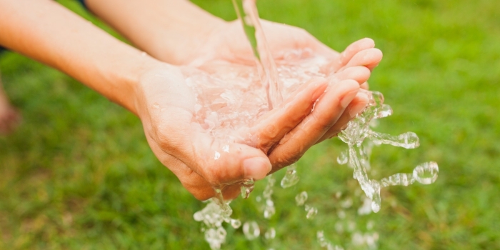 Foto de capa da notícia