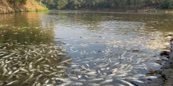 Imagem de capa da notícia