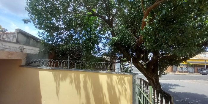 Foto de capa da notícia