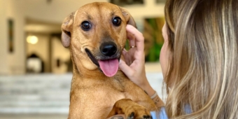 Imagem de capa da notícia