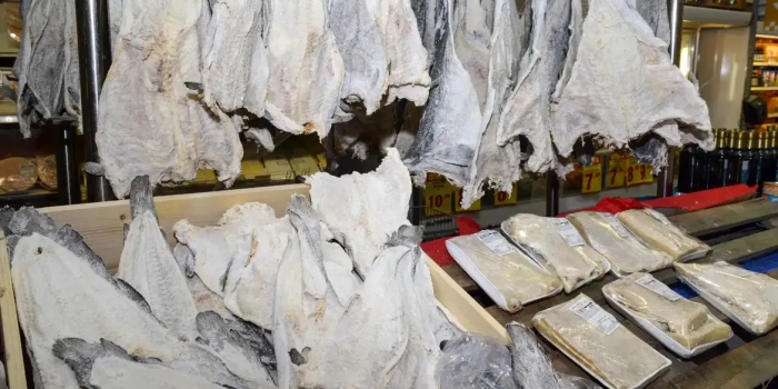 Foto de capa da notícia