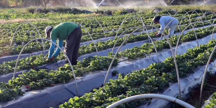 Foto de capa da notícia