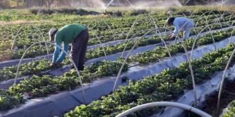 Imagem de capa da notícia