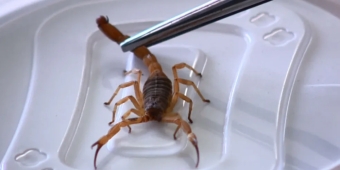 Imagem de capa da notícia