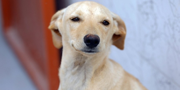 Foto de capa da notícia