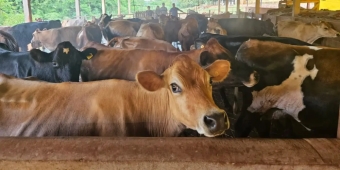 Imagem de capa da notícia