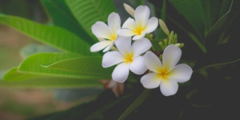 Imagem de capa da notícia