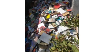 Imagem de capa da notícia