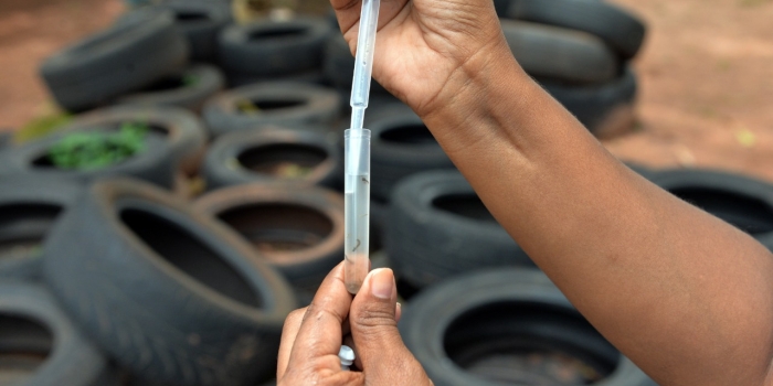 Foto de capa da notícia