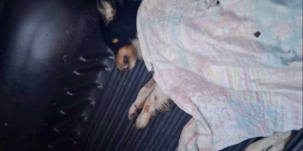 Imagem de capa da notícia