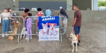 Imagem de capa da notícia