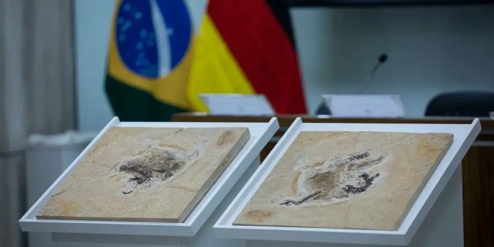 Foto de capa da notícia