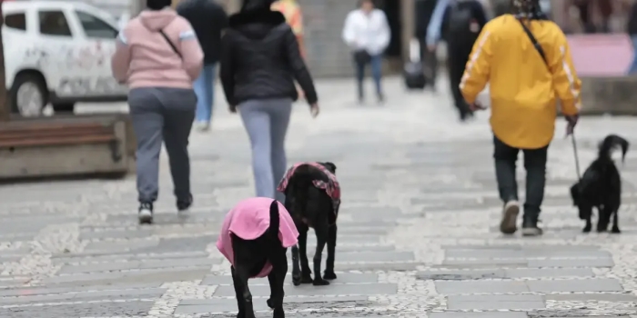 Foto de capa da notícia