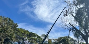 Imagem de capa da notícia