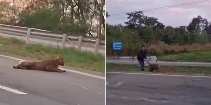 Foto de capa da notícia