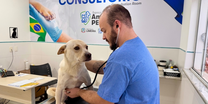 Foto de capa da notícia