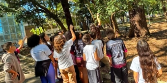 Imagem de capa da notícia