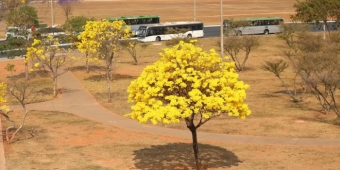 Imagem de capa da notícia