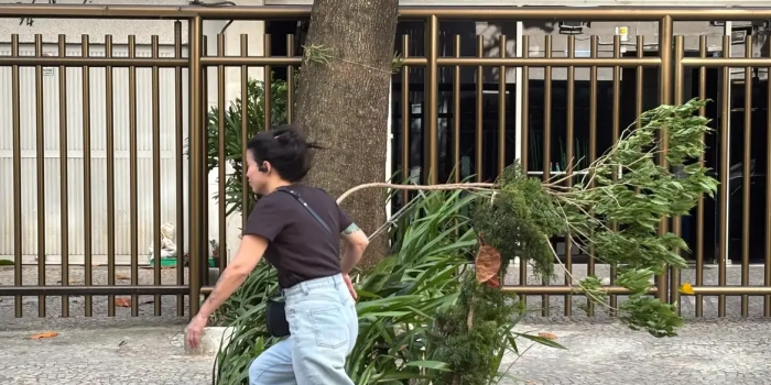 Foto de capa da notícia