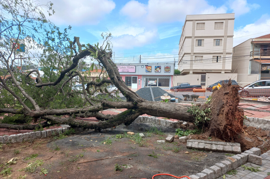 Imagem de capa da notícia