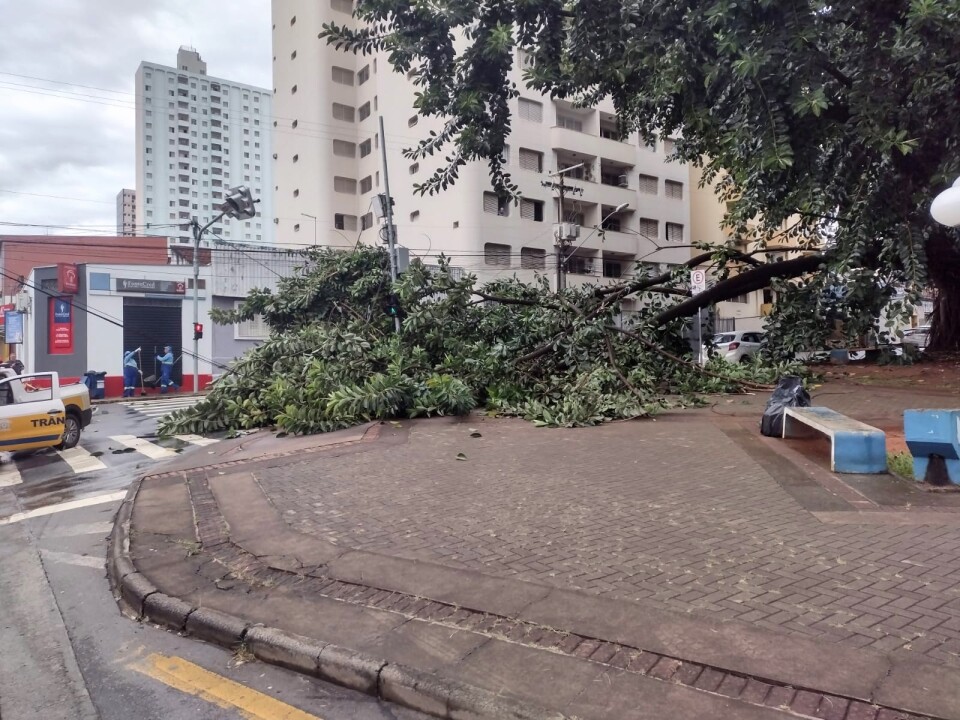 Imagem de capa da notícia
