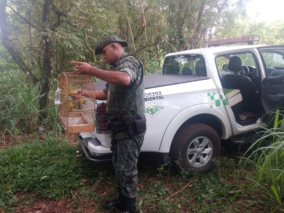 Imagem de capa da notícia