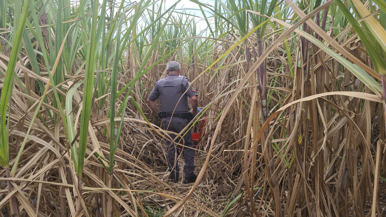 Imagem de capa da notícia