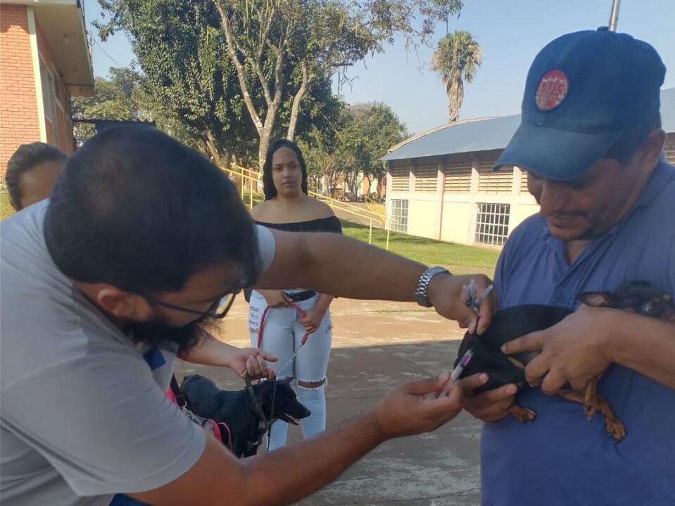 Imagem de capa da notícia