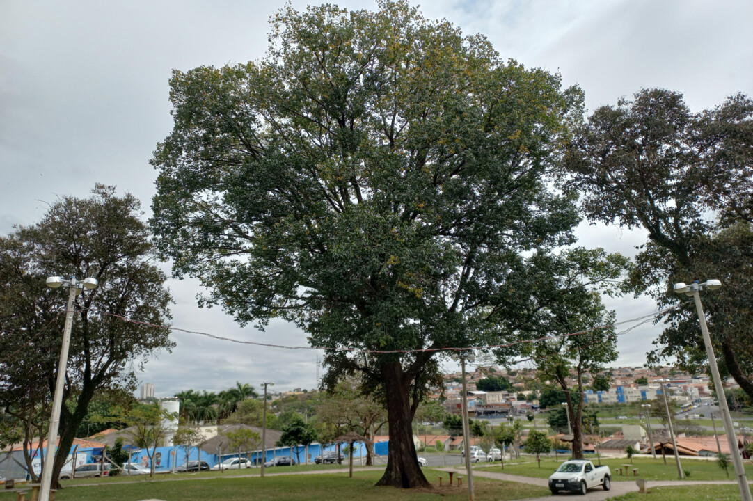 Imagem de capa da notícia