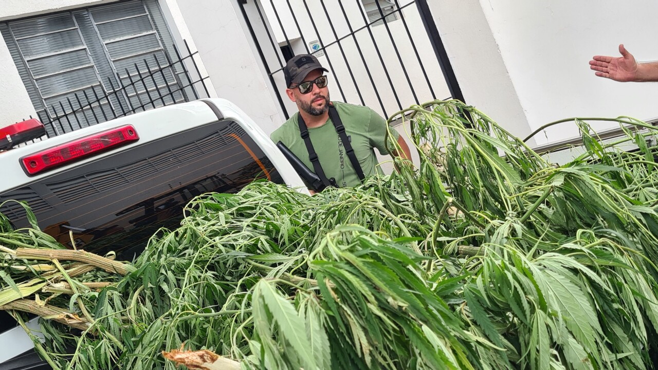 Imagem de capa da notícia